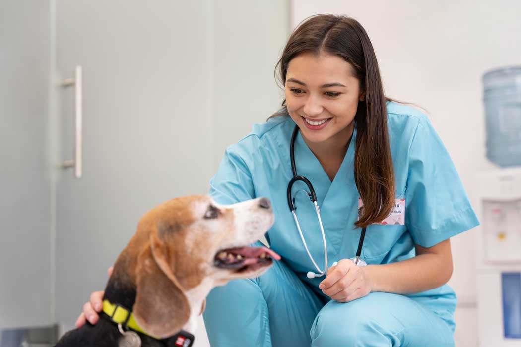 dierenarts-gedragstherapie-hond
