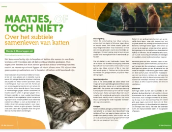 Samenleven van katten Tinley Magazine KAT - over kattengedrag - Tinley Gedragstherapie voor Dieren Samenleven van katten Tinley Magazine KAT - over kattengedrag - Tinley Gedragstherapie voor Dieren